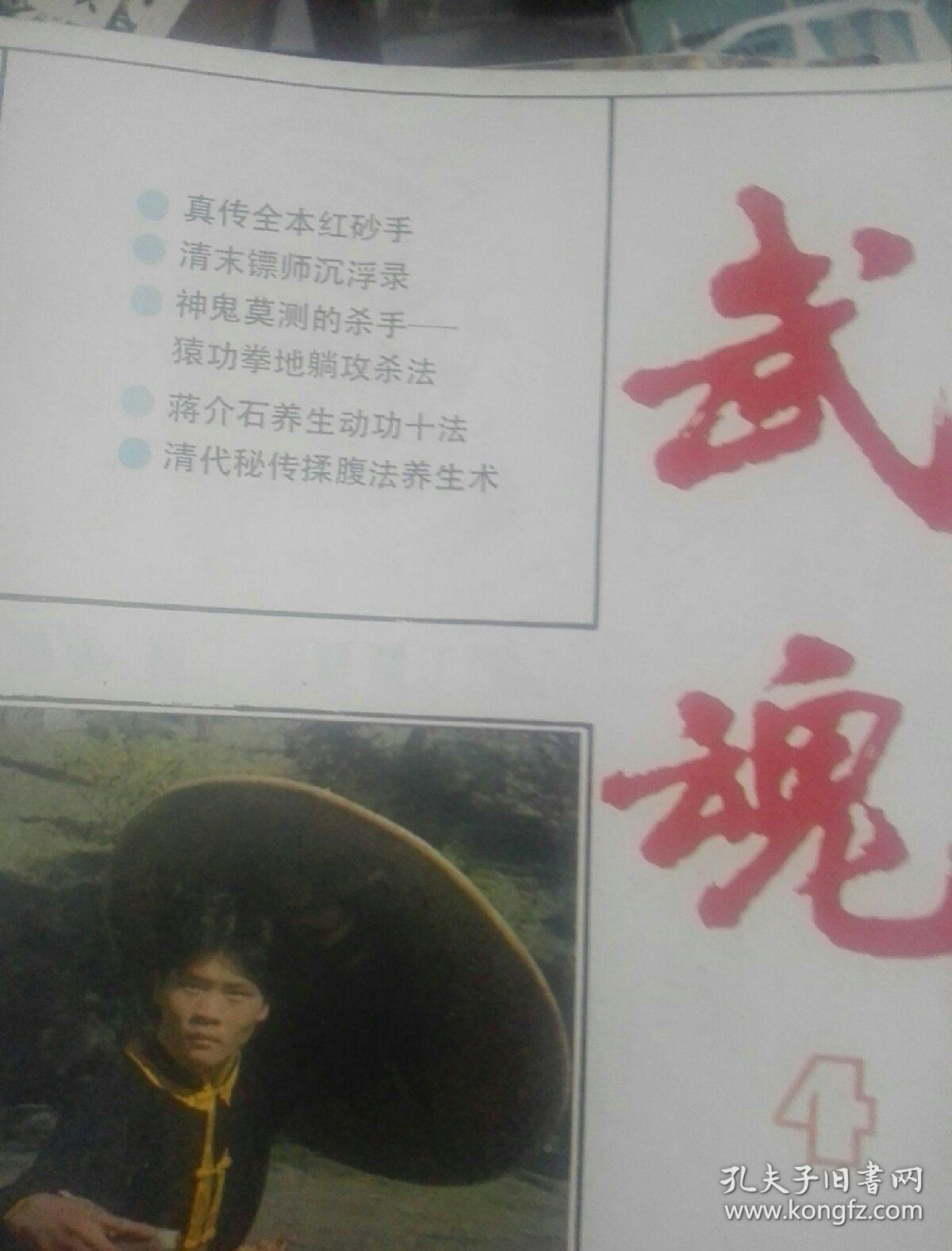 武魂电子书下载，奇幻世界的探索之门