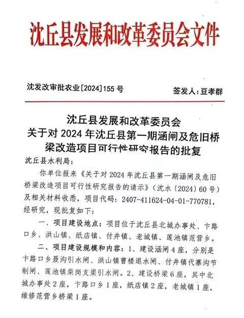 沈丘最新消息全面解读与分析