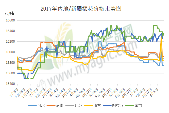 新疆棉花最新价格及影响因素解析