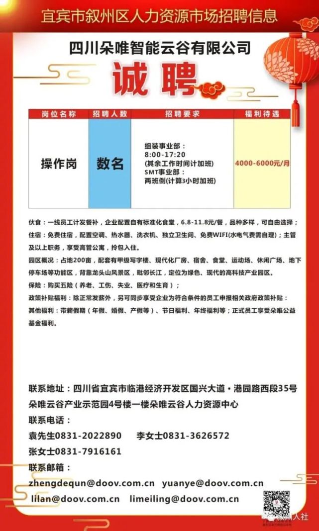 沿滩区文化局招聘信息与细节深度解读公告