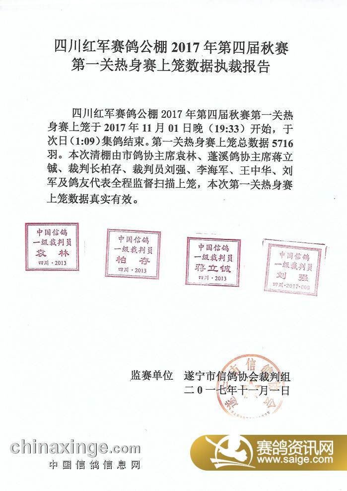 红军公棚最新公告，历史与未来的交汇点展望