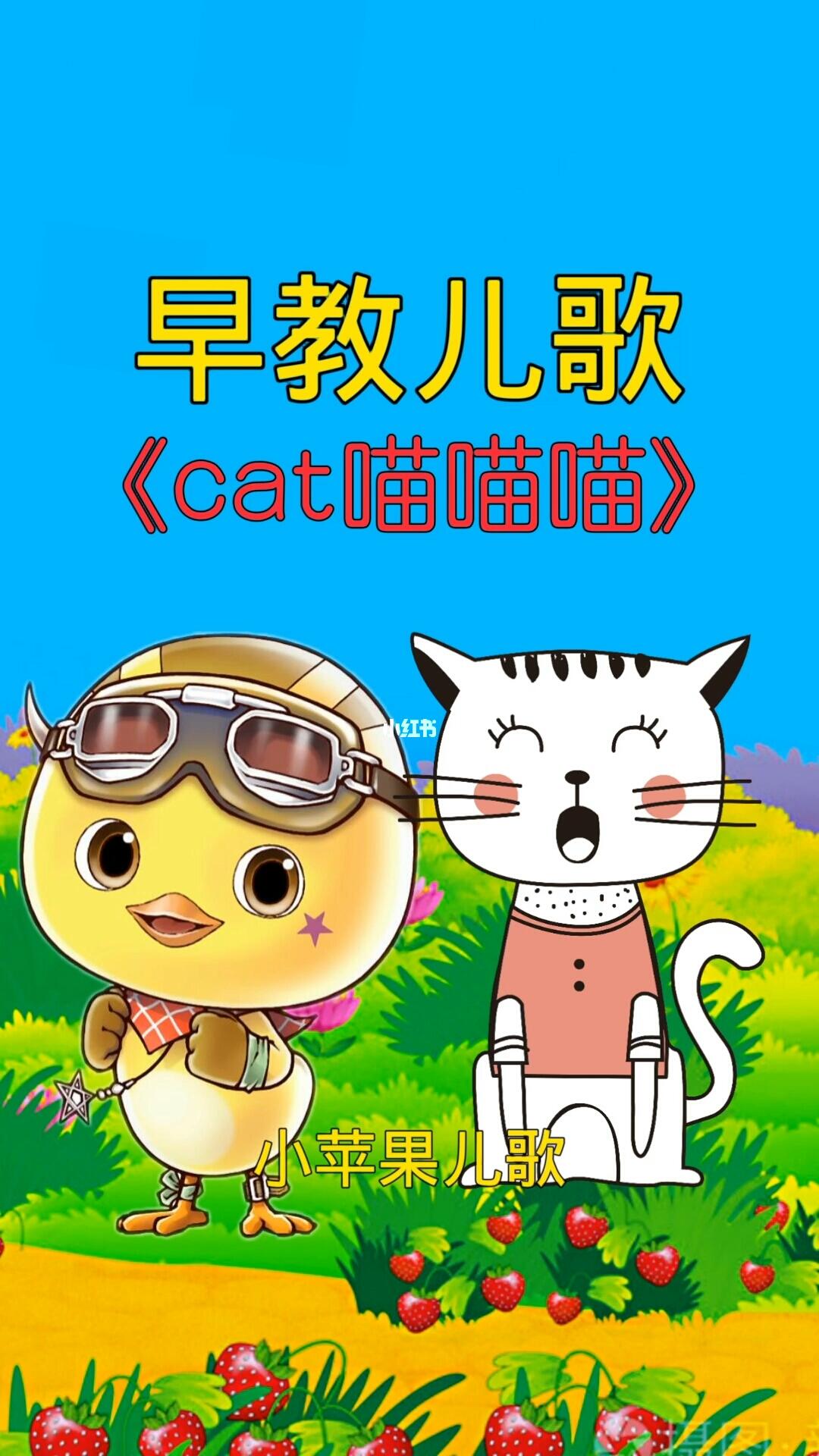 猫猫儿歌，开启欢乐童年音乐之旅