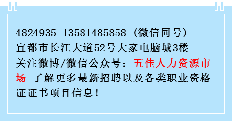 爱宜都最新招聘信息及相关探讨解析