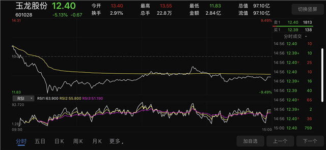 玉龙股份股票行情深度解析与未来展望