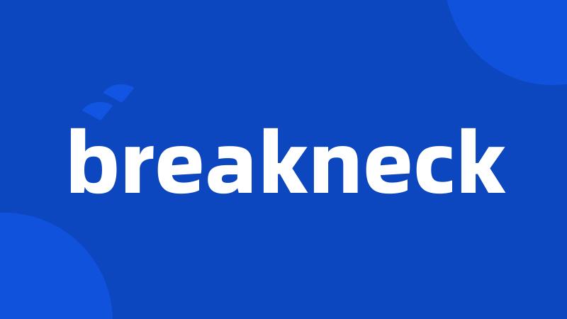 Breakneck下载，速度与激情的追逐之战