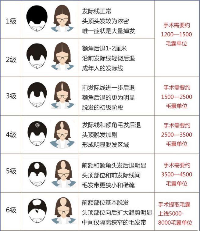 最新植发价格解析，费用因素与个性化选择全攻略