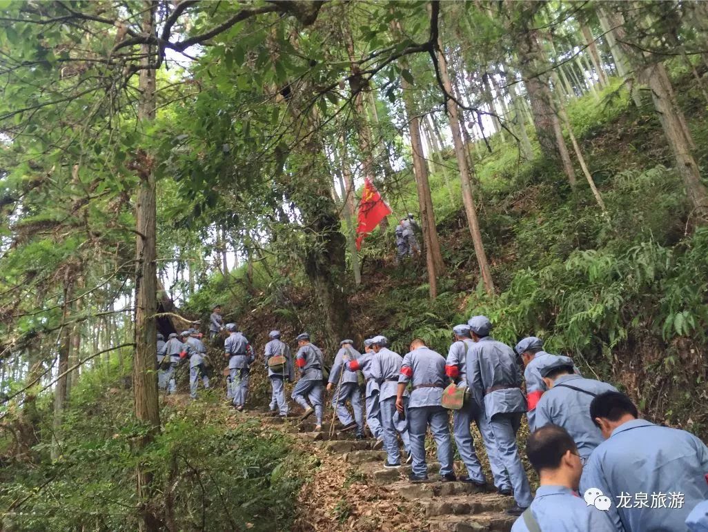 岩樟乡新项目，乡村发展的强大引擎驱动力