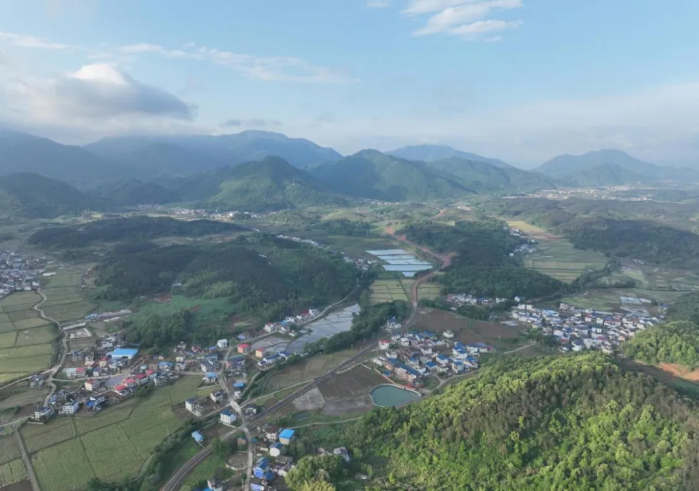 雄达村典范项目，引领乡村发展新篇章